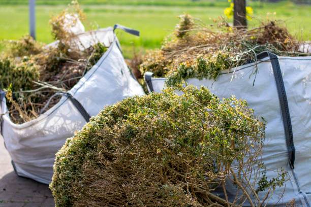 Best Demolition Debris Removal  in Winona, MN